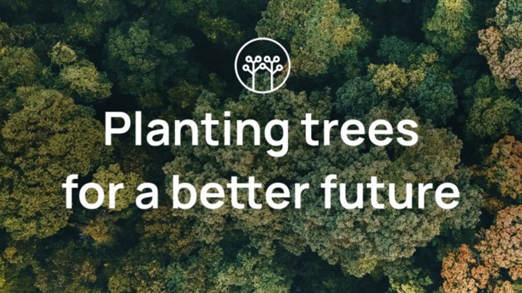 Photo of the tops of trees